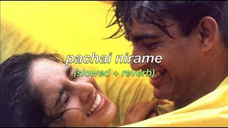 pachai nirame slowed  reverb alaipayuthey [upl. by Portia542]