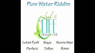 Norris Man  Wicked Wont Get Away  Pure Water Riddim  Leaf of Life Productions [upl. by Ensign]