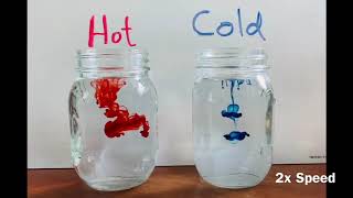 Food Coloring in Hot and Cold Water [upl. by Aurea]