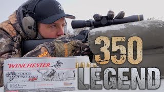 BRAND NEW Gun from Winchester The 350 LEGEND [upl. by Kristan]