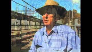 The Saleyards Made Wodonga [upl. by Trumann859]