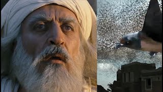 Makkah Live Ababil Bird in Makkah  Ababeel Birds  Kaaba History Ababil Birds  History Movie [upl. by Harbison]