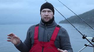 Shore fishing in Norway for plaice [upl. by Omolhs]