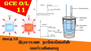 Heat Changes Associated with Chemical Reactions  Grade 11 Science  GCE OL Tamil Medium [upl. by Mccafferty653]