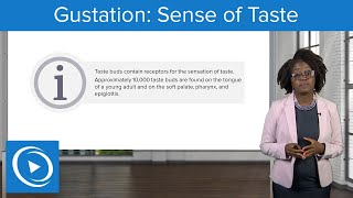 Gustation Sense of Taste – Physiology  Lecturio Nursing [upl. by Adnohsor]