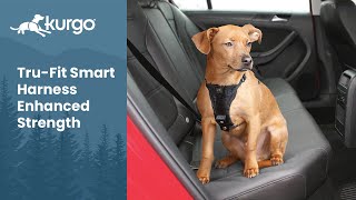 The TruFit Smart Harness Enhanced Strength  Crash Tested Dog Safety Harness [upl. by Bill]