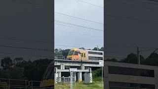 3 Waratahs At Casula Parklands Bridge train nswtrains publictransport railway nswtrainlink [upl. by Hamitaf]