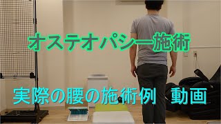 オステオパシー施術 実際の矯正動画 [upl. by Severson]