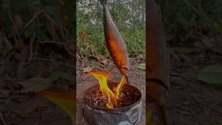 Single mom show SMART idea for survival in forest camping outdoor bushcraft lifehacks [upl. by Adnara394]