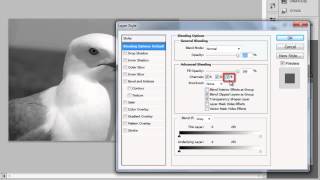 How to Make 3D Photo in Photoshop CS5 [upl. by Zigrang]