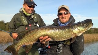 HOW TO FLY FISH FOR IRISH PIKE [upl. by Tamer792]