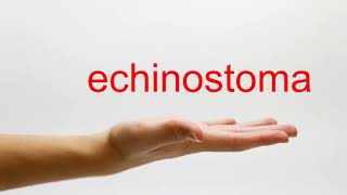 How to Pronounce echinostoma  American English [upl. by Latsryc601]