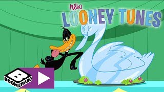 New Looney Tunes  Daffy And The Swan  Boomerang UK [upl. by Rikahs]