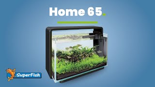 Superfish Home 65  Aquascaping [upl. by Inatsed]