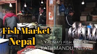 Fish market Kathmandu Nepal [upl. by Kelcey727]