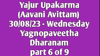 06 Yajur Upakarma  Aavani Avittam 2023  Yagnopaveetha Dharanam  300823 Wednesday  Part 6 of 9 [upl. by Benge]