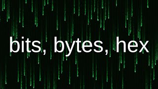 Bits Bytes and Hex [upl. by Nauqal935]