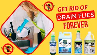 Best Drain Fly Killer  Powerful Solution for Drain Fly Infestations [upl. by Leatri]