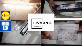 LIVARNO HOME NEON LEDLIDL [upl. by Biel]