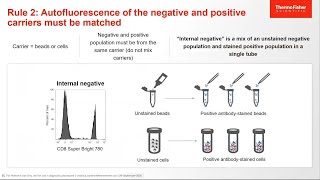 Basics of Using Compensation Beads for Flow Cytometry Experiments [upl. by Anemolihp406]