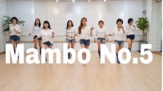 Mambo No5 Line Dance Beginner 윤 은희 [upl. by Emelda]