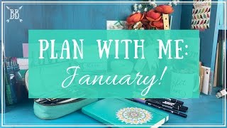 Plan With Me 13 January 2017 [upl. by Olyhs]