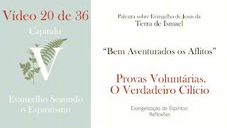 19  Provas Voluntárias O Verdadeiro Cilício  Reflexões capítulo quotBem Aventurados os Aflitosquot [upl. by Ellehsat154]