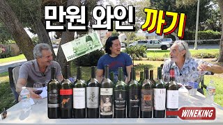 Tasting of easytofind cheap wines [upl. by Juster]