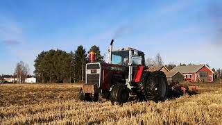 Massey Ferguson 2805 fall tillage [upl. by Carthy]