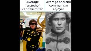 Average Ancap fan vs Average Ancom Enjoyer [upl. by Jolda267]