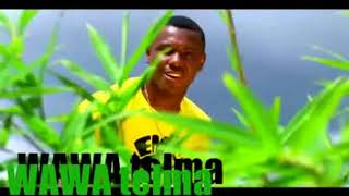 Wawa Salegy  Nahay Tsara  Clip officiel [upl. by Aicala]