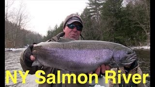 New Yorks Salmon River Steelhead [upl. by Rinaldo798]