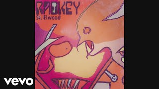 Radkey  St Elwood Audio [upl. by Jallier]