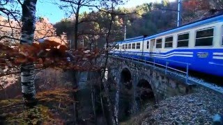 Ferrovia VigezzinaCentovalli Un viaggio lungo una fiaba [upl. by Eisenstark]