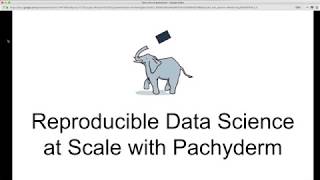 Introduction to Pachyderm [upl. by Edgar886]