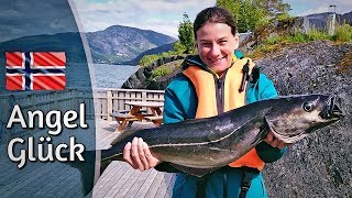 Wir angeln mit den Hansemöven  FjordAngeln in Norwegen  Skandinavien Vlog 9 [upl. by Sailesh]