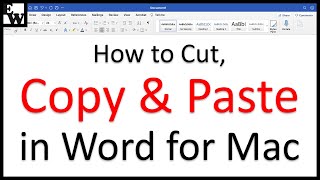 How to Cut Copy and Paste in Word for Mac [upl. by Aivek105]