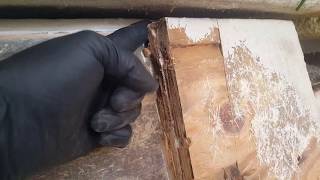 Boat Transom and Floor Rebuild  Transom Removal  Part 13 [upl. by Vatsug614]