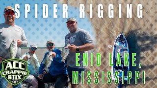 Spider Rigging Crappie in Mississippi for GIANT Crappie [upl. by Llecrup225]