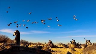 Most EPIC Goose Hunting Ive EVER SEEN [upl. by Aznarepse]