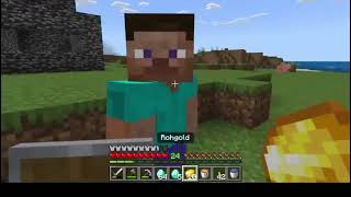 Er kommt zu mir Minecraft Survival 4 [upl. by Attayek]