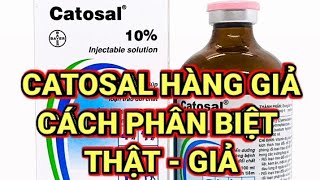 Kn66 CATOSAL GIẢ CÁCH PHÂN BIỆT THUỐC THẬT GIẢ [upl. by Ber]