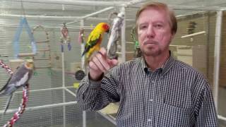 EZ Cage WalkIn Bird Aviary Video Tour [upl. by Anatnom]