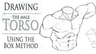 Drawing the Male Torso  Boxing in Method [upl. by Ainoet]