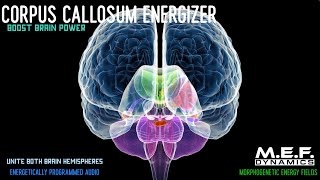 Corpus Callosum Function Amplifier [upl. by Tabina436]