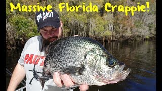 Crappie Fishing Floridas Newnans Lake [upl. by Ahsinrats]