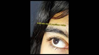 Examination of pupillary light reflex 2nd year MBBS practical Physiology [upl. by Lorrie]