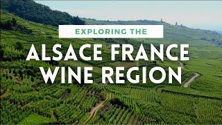 ALSACE FRANCE WINE REGION OVERVIEW  Plus Pinot Gris Review [upl. by Neevan]