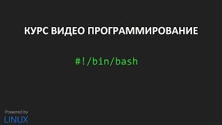 Создание скриптов bash урок 1 [upl. by Adyan837]