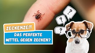 Das perfekte Mittel gegen Zecken Der richtige Zeckenschutz für deinen Hund  BluePetTV [upl. by Zelma]